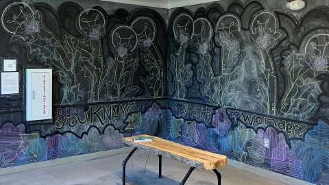 chalk mural depicting dandelions and the phrase &quot;Did you know that it's all right to wonder?&quot;