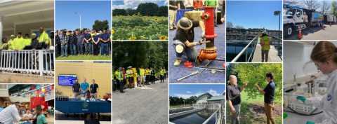 End of the Year picture collage of employees