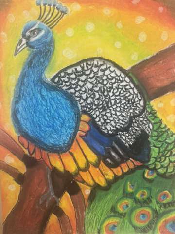 Peacock by Emma Jojo