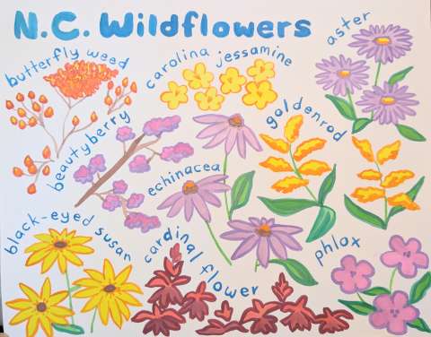 Mural of wildflower drawings