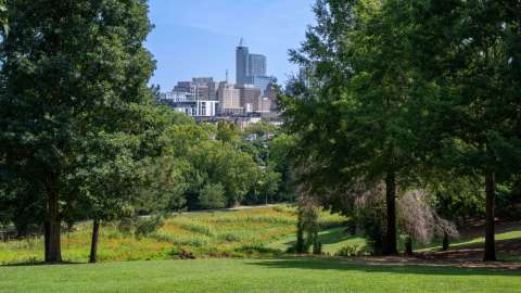 View of city skyline from Dix Park hill