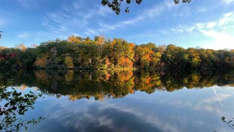 warm colored fall foliage over a lake
