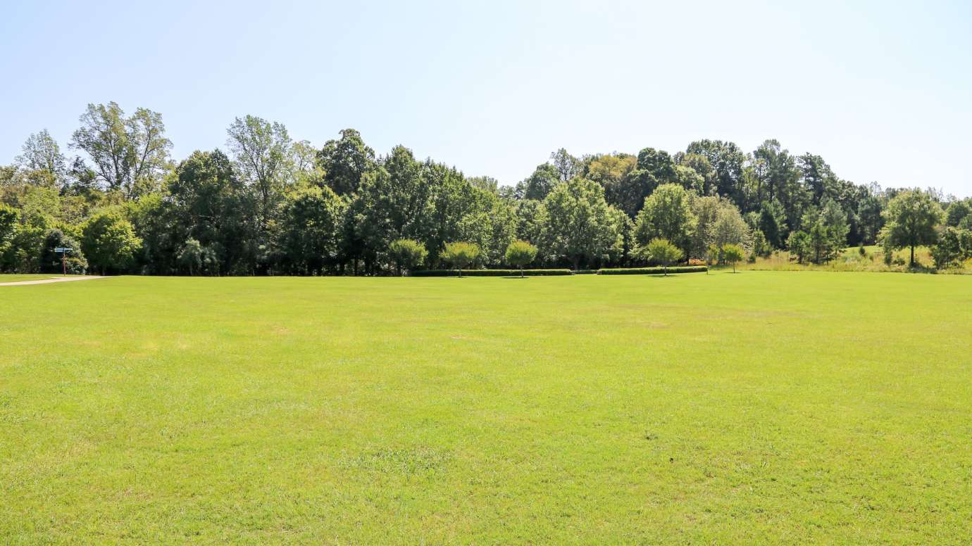 Open grassy field near treeline at Anderson Point Park