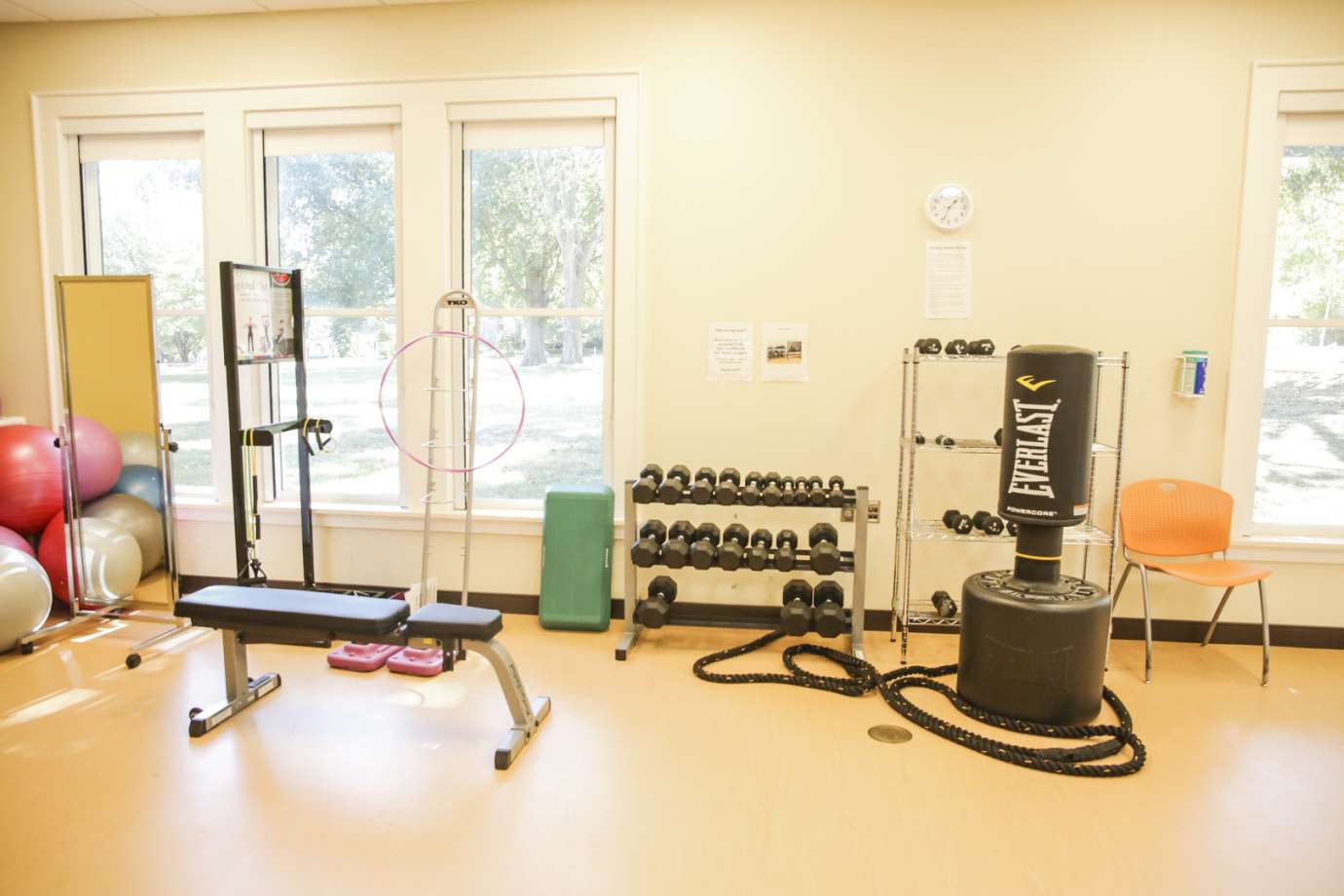 A fitness room with a punching bag, weights and cardio equipment 