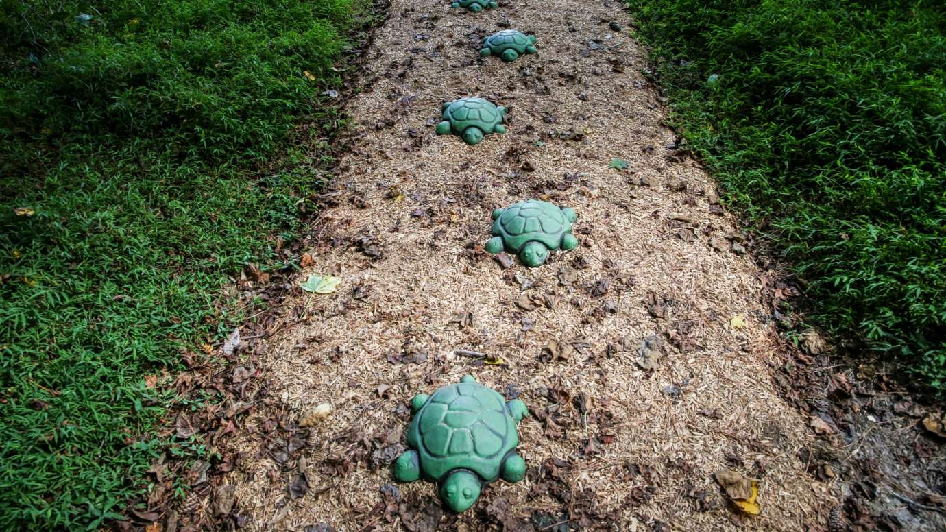 A line of artistic turtles leading down a trail 