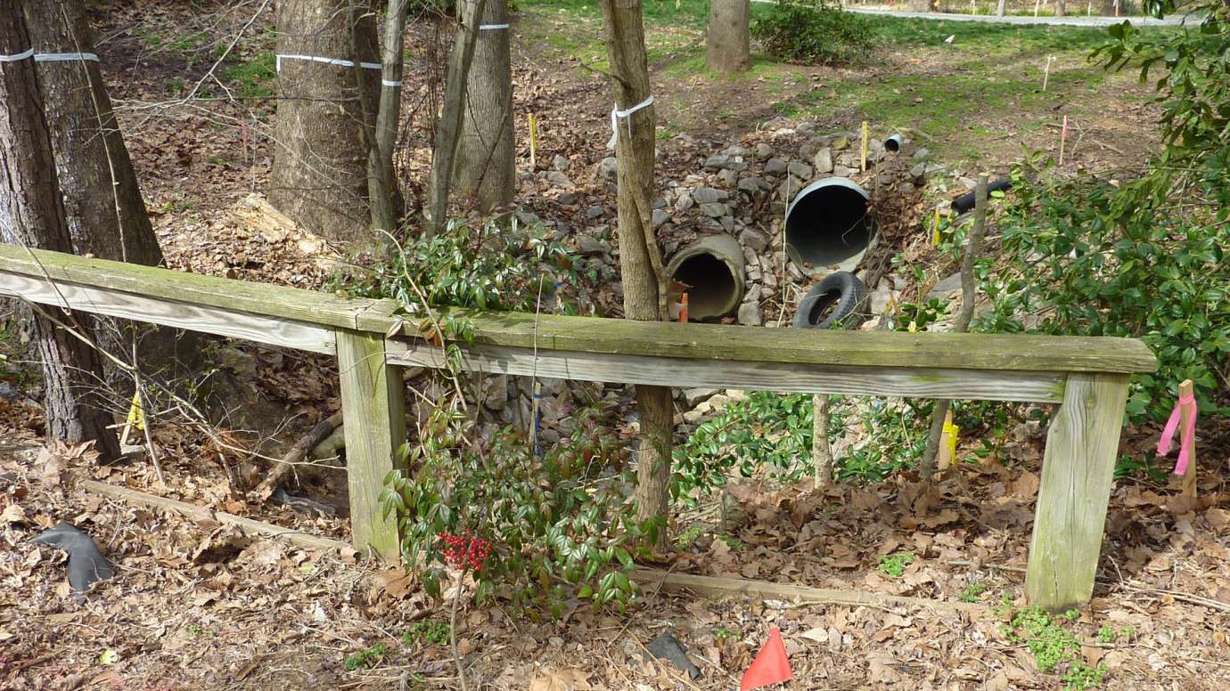 Two old stormwater pipes in Spring Drive backyard