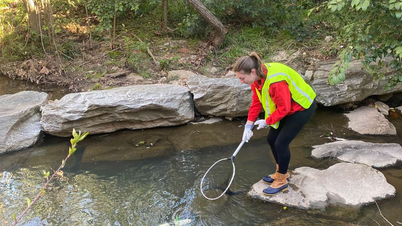 A girl wearing a yellow vest cleaning out trash with a net from Rocky Branch Creek.