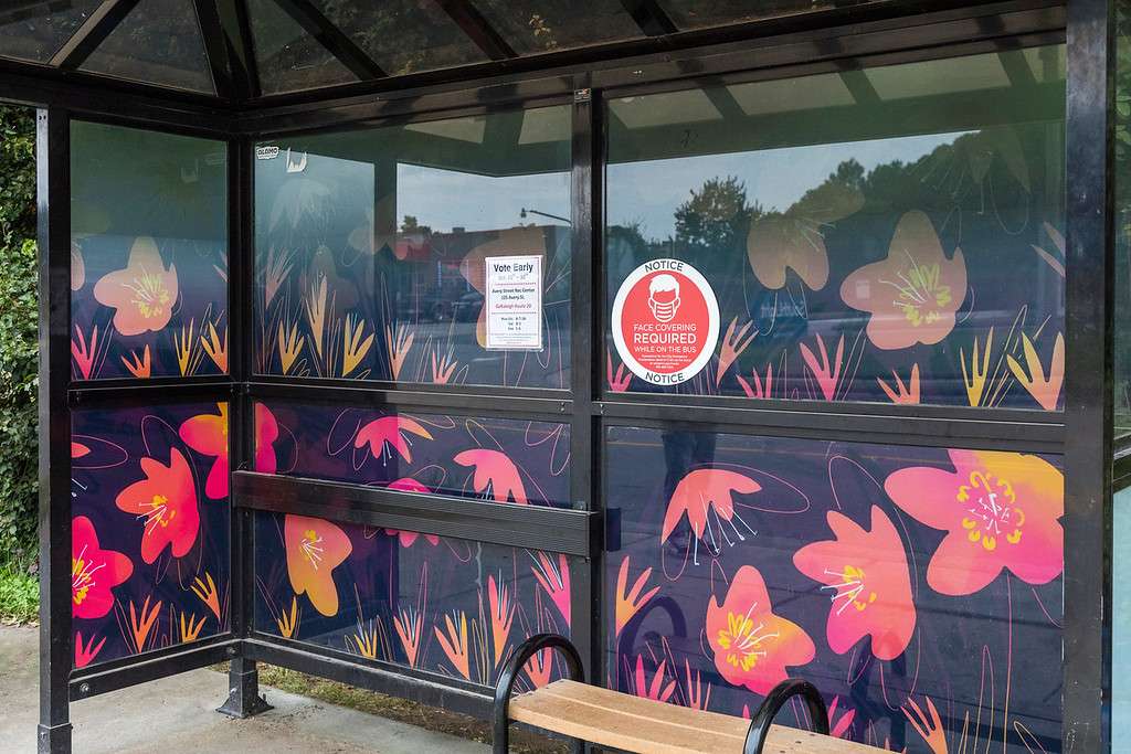artwork by Anna Totten covering the windows of a bus shelter