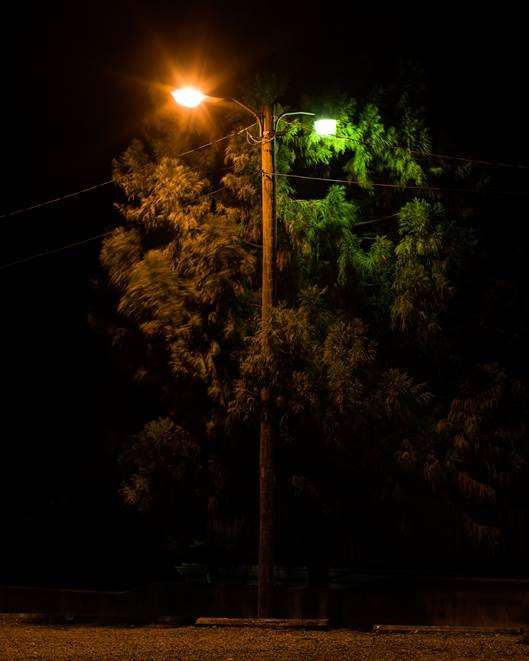 Archival pigment print by Jimmy Fountain, street light with tree behind it at night
