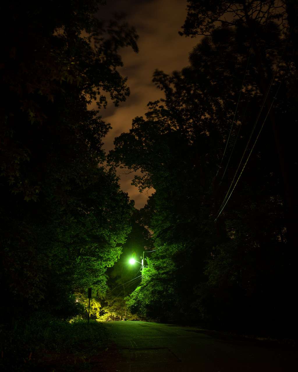 Archival pigment print by Jimmy Fountain, trees with sky and green lamp post at night