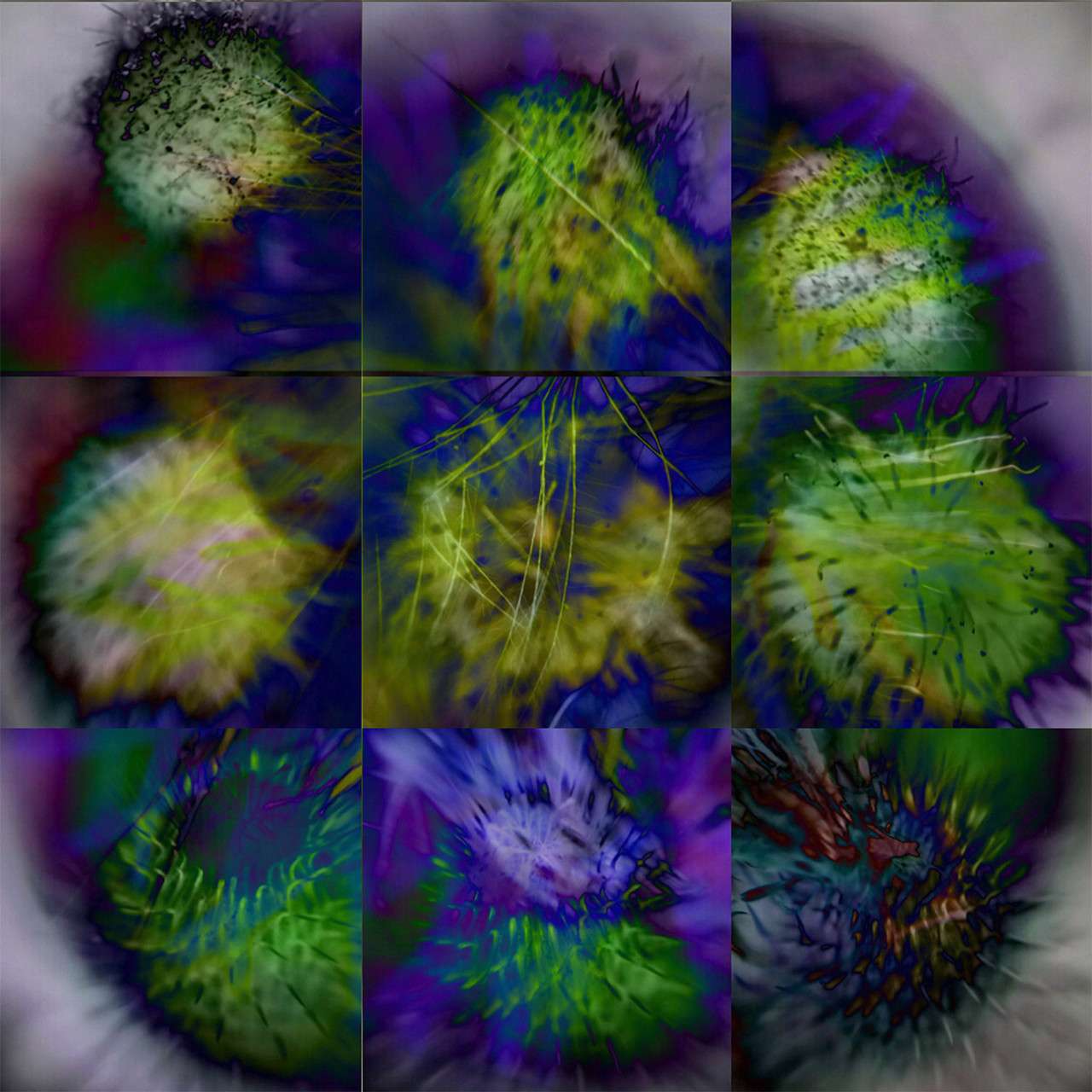 Dye sublimation print on aluminum by Tama Hochbaum, grid of blue, cadmium green thistles