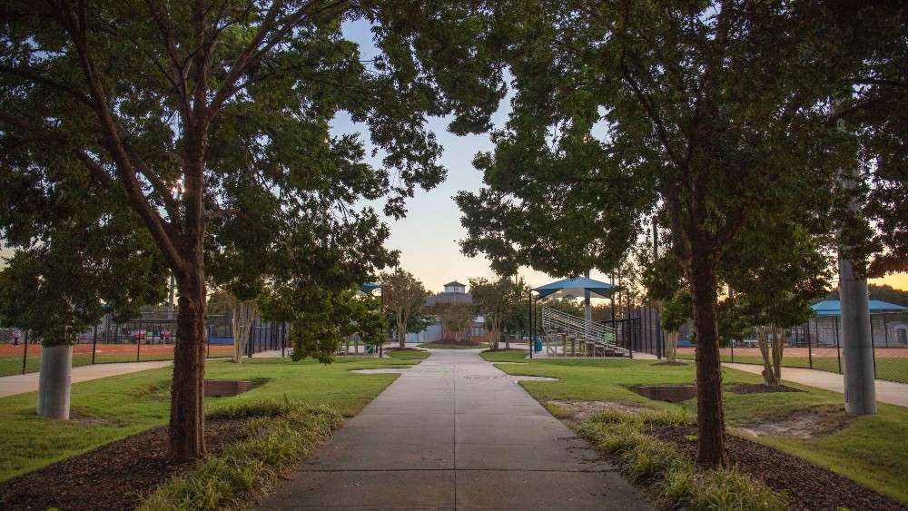 View of the path between fields in the athletic complex with trees and grass