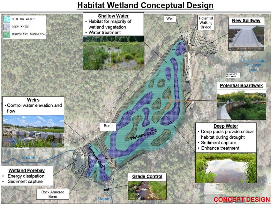 Upper Durant Lake Habitat Wetland Concept Design Rendering