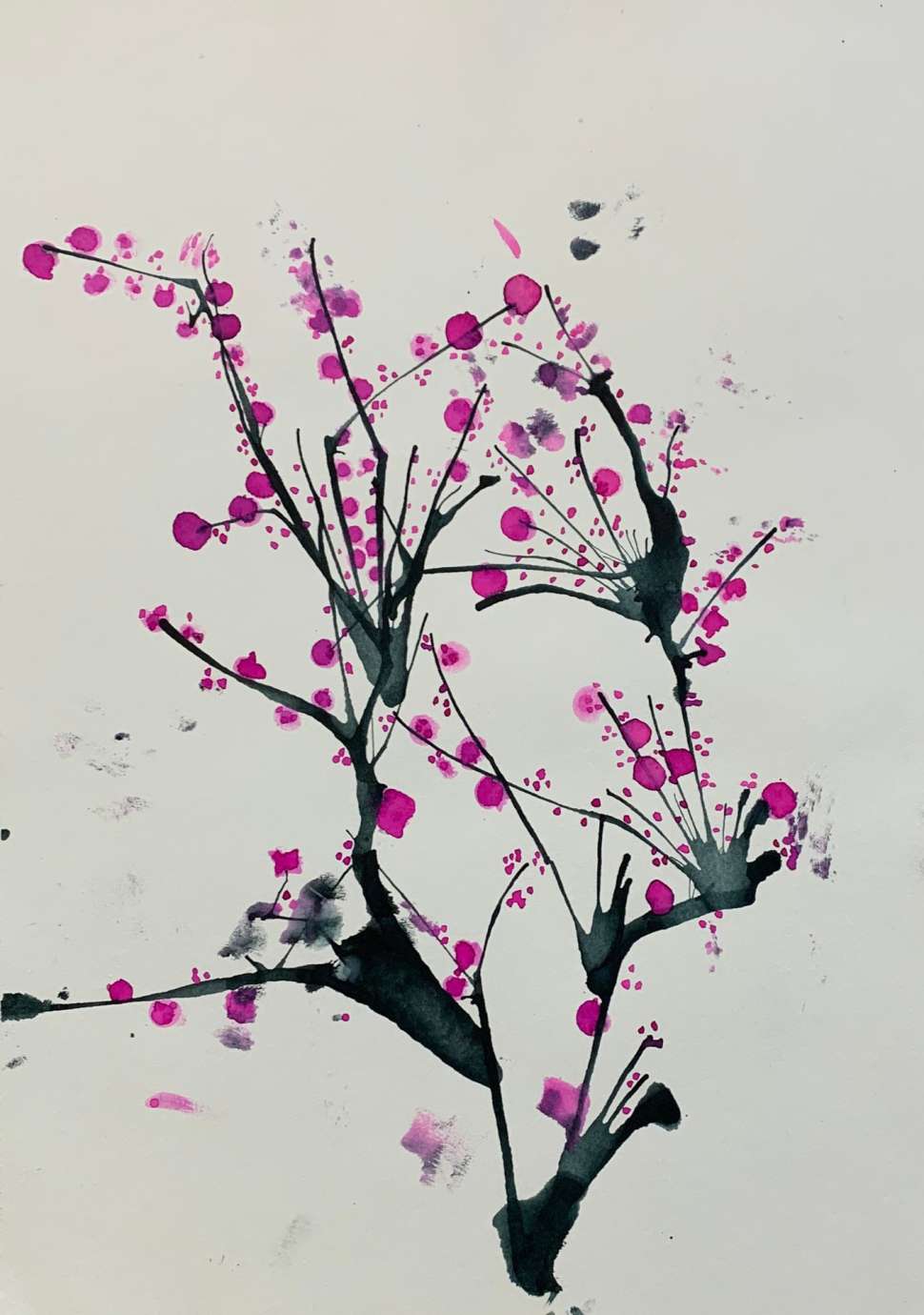 Black branches and small pink blossoms