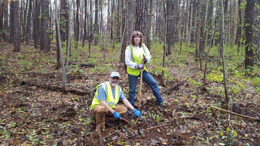 Two volunteers in reflective vests cleaning up woods