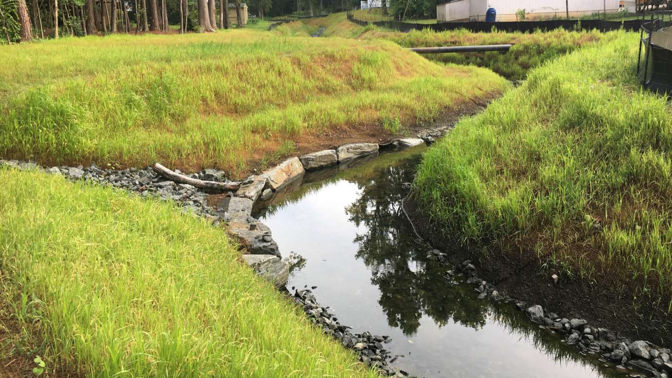 A meandering stream with long, green grass to help protect the streambanks. 