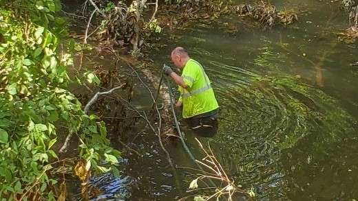 Man in river cleaning beaver dam