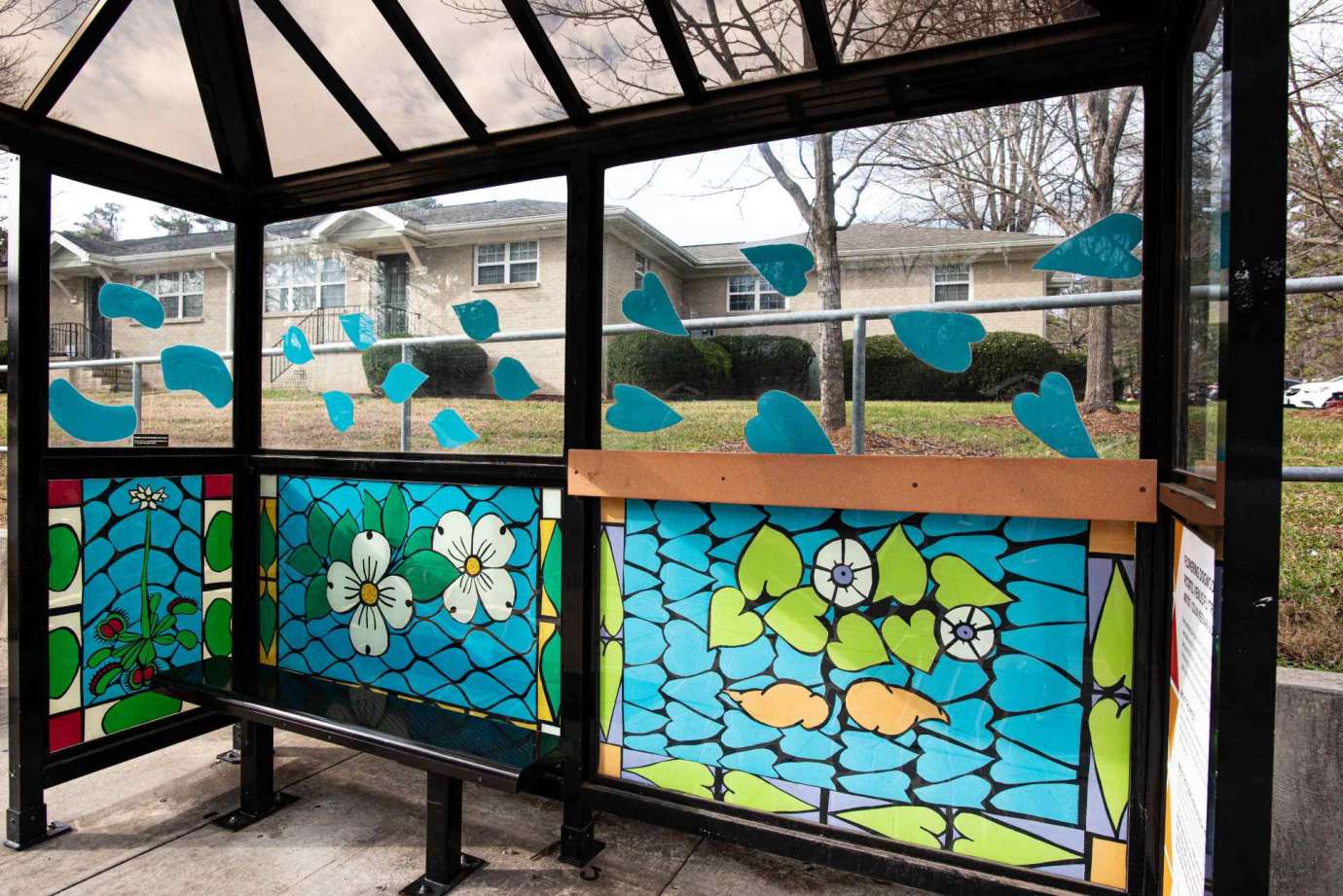 Artwork wrapped on bus shelter windows titled Flowering Dogwood, Sweet Potato, Venus flytrap by  Colin Keenan & Julie Cook located  Glenbrook Drive at Dacian Road (southbound)