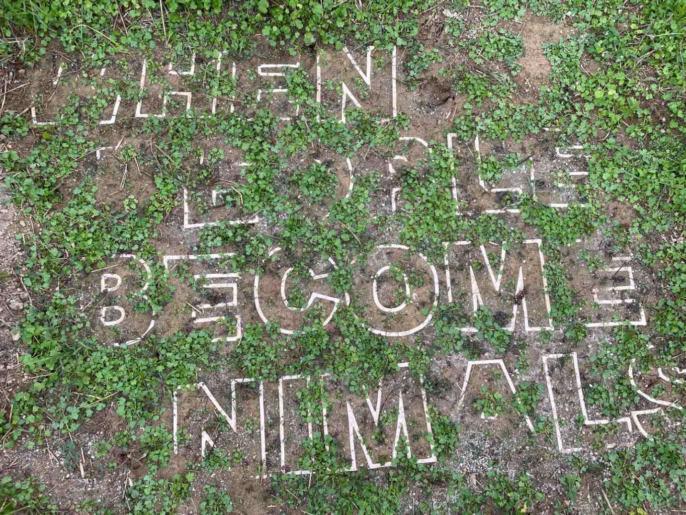 The words "When People Become Animals" are buried in the ground with only the outline visible. Dirt and plants surround the words and fill the letters.