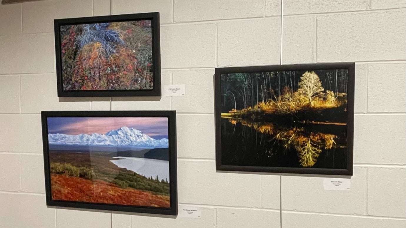 three framed photographs of a mountain landscape, trees reflected in water and leaves hanging on white wall