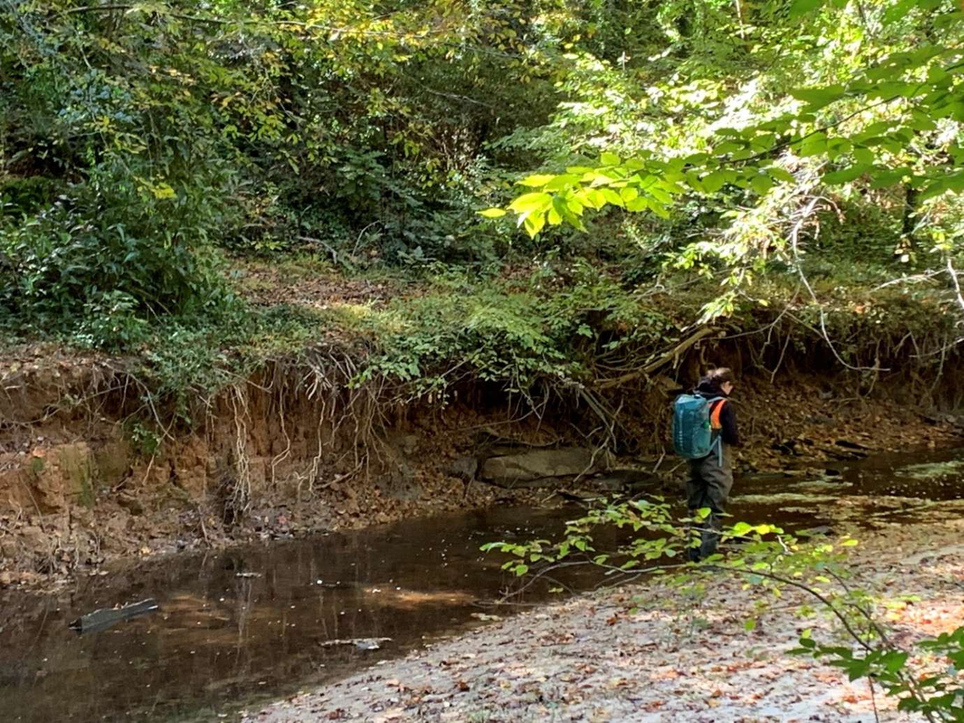 person walking in creek and assessing the stream