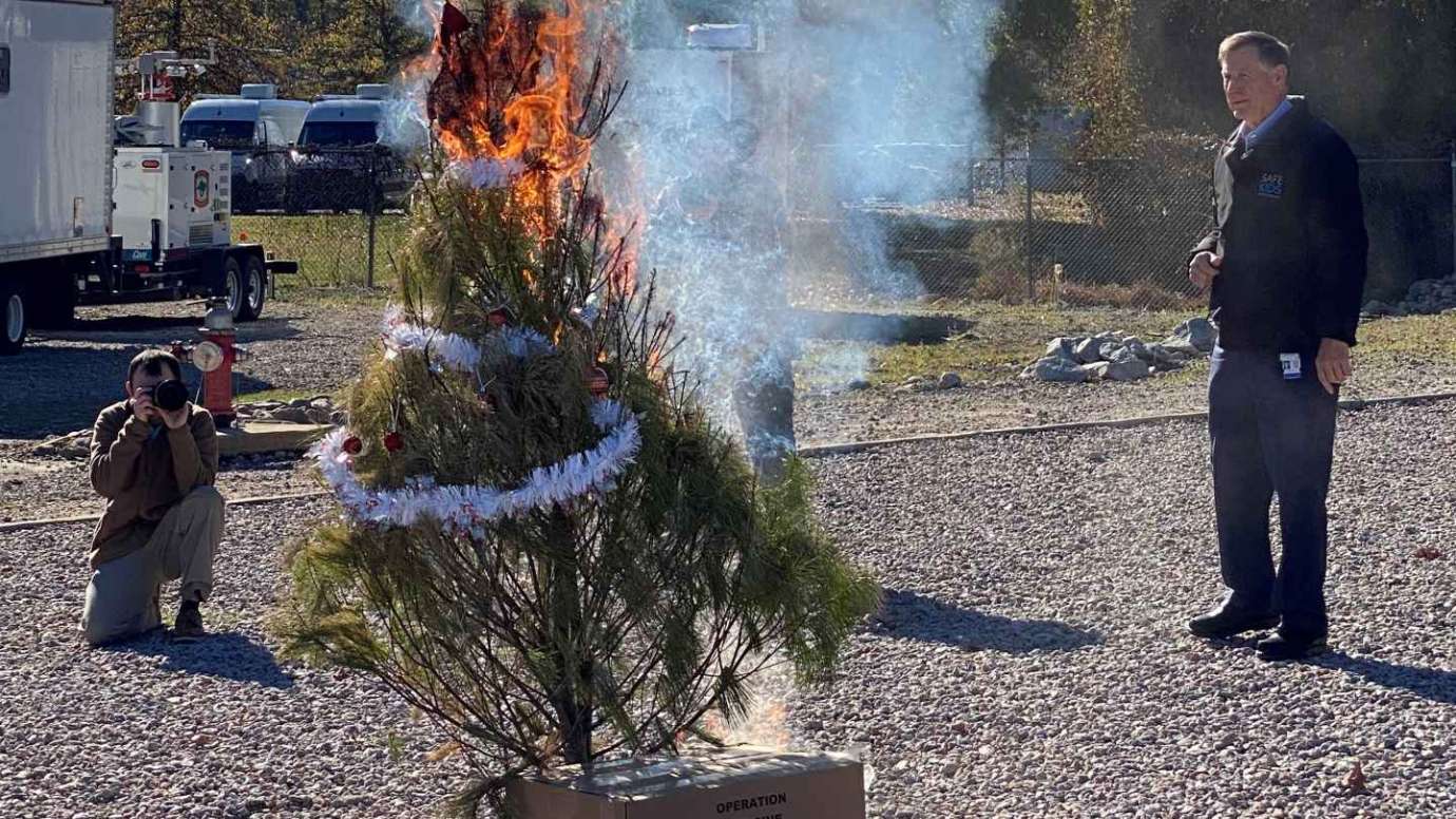 Insurance commissioner watches burning tree