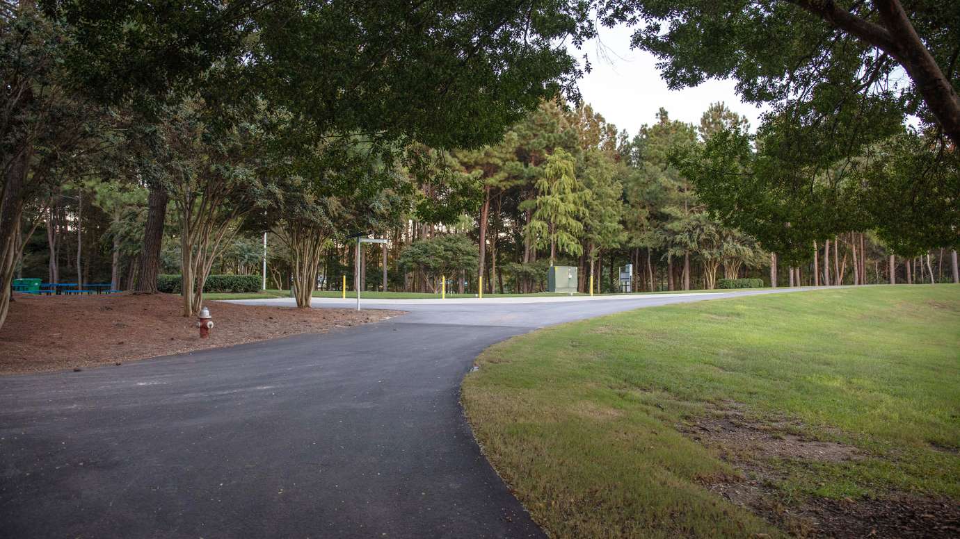 paved driveway surrounded by grass and trees 