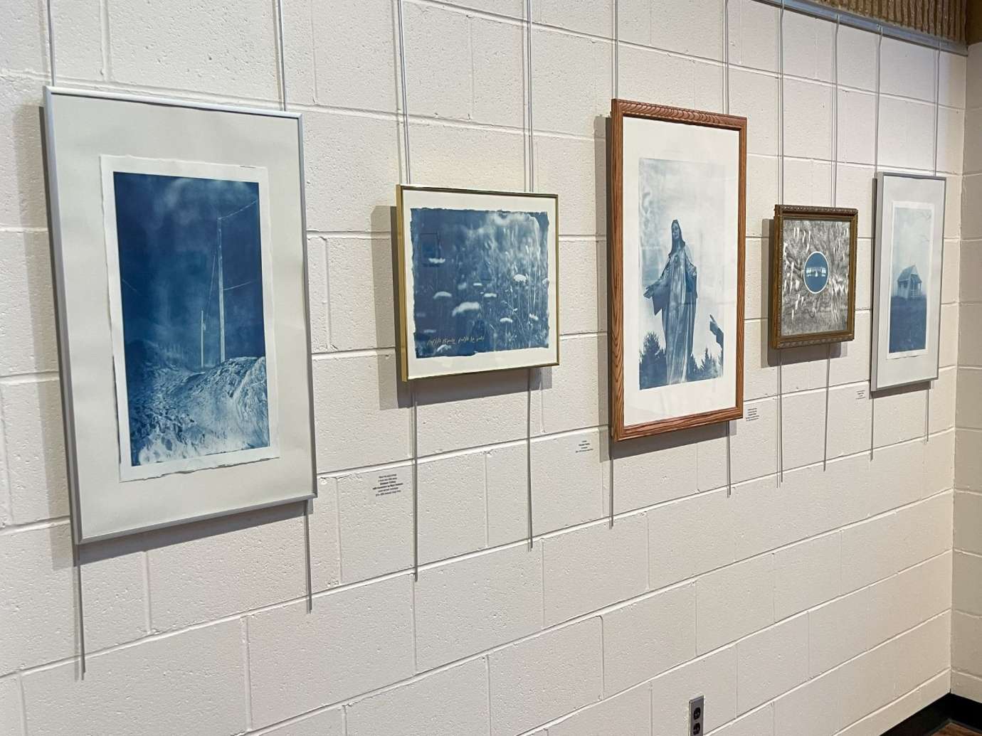 Five framed artworks with blue and white images on a gallery wall