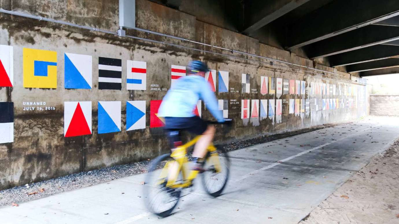 Alluvial Decoder Floodplain Cyclist Mural
