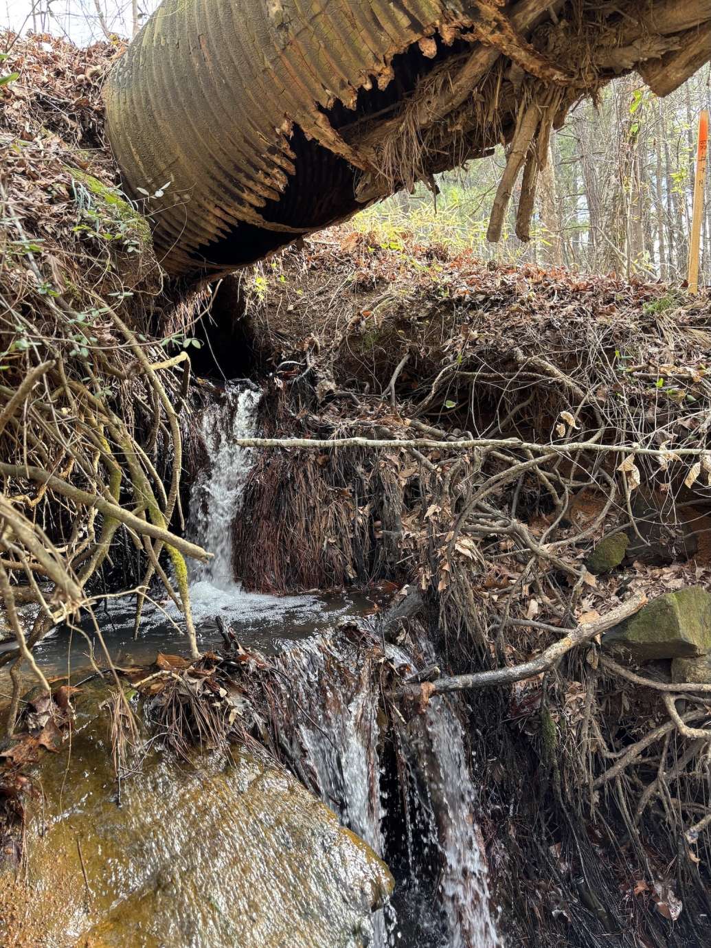 Camp Pond Dam