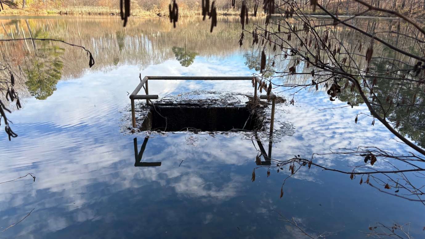 Camp Pond Dam