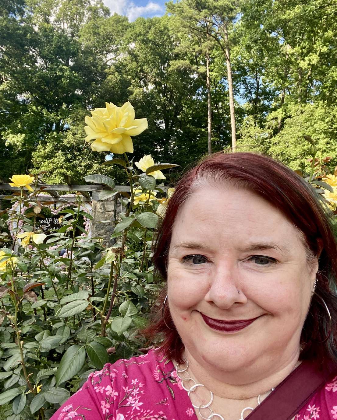 yellow roses with a person