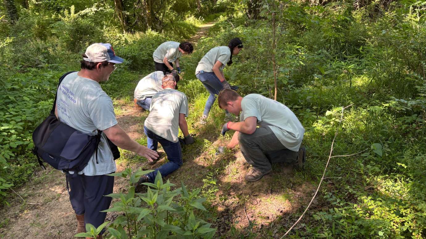 Rain Garden Apprenticeship