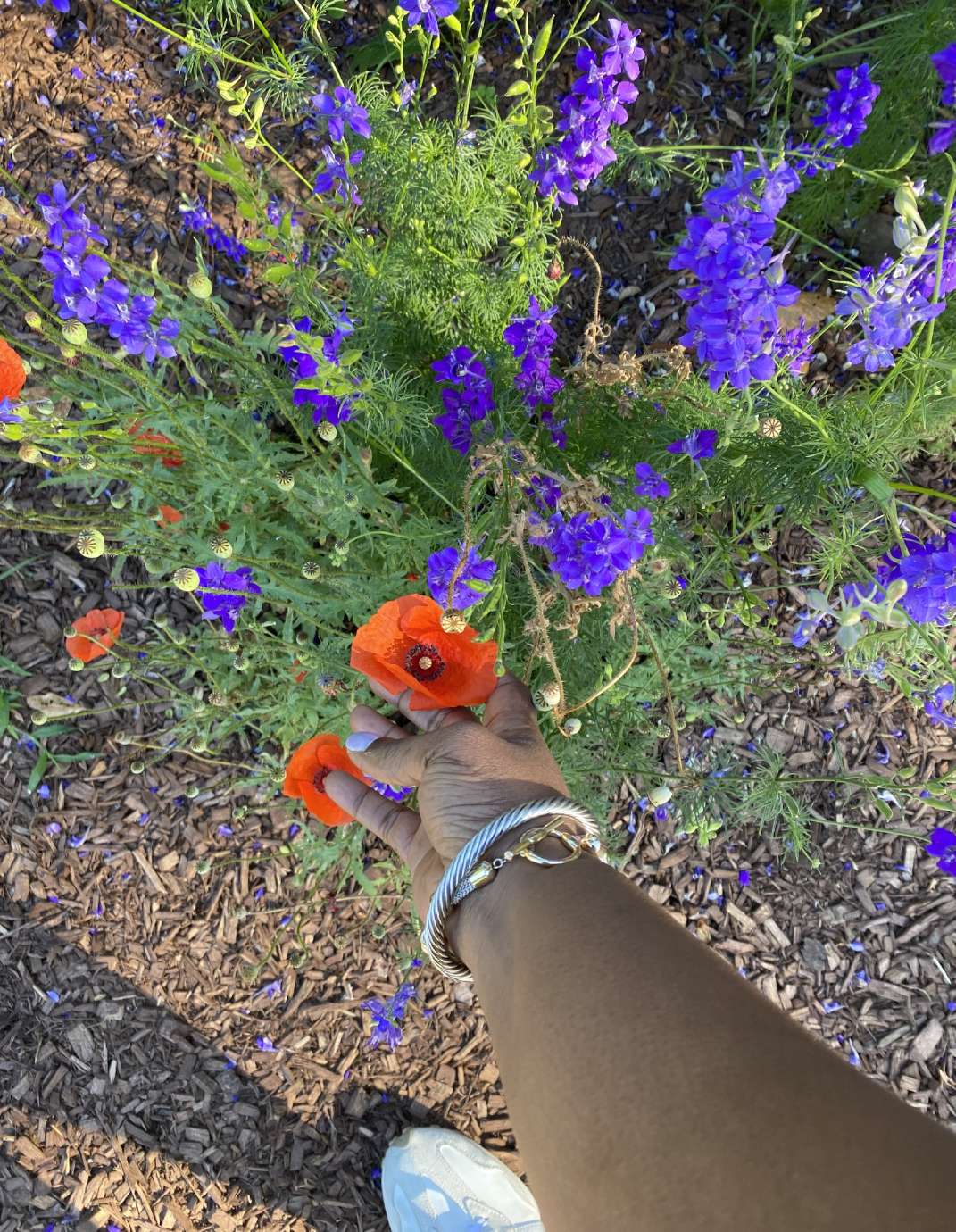 flowers at Pullen Park