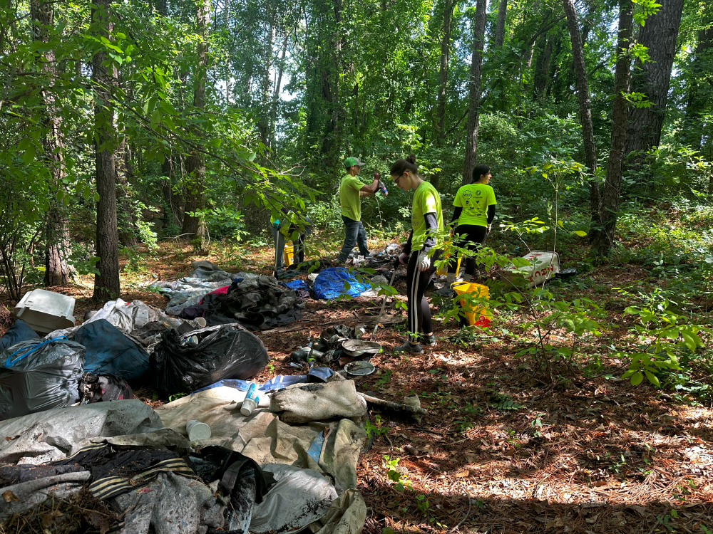 volunteers wearing yellow picking up litter with trash poles