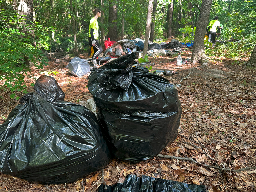 black trash bag sitting in woods