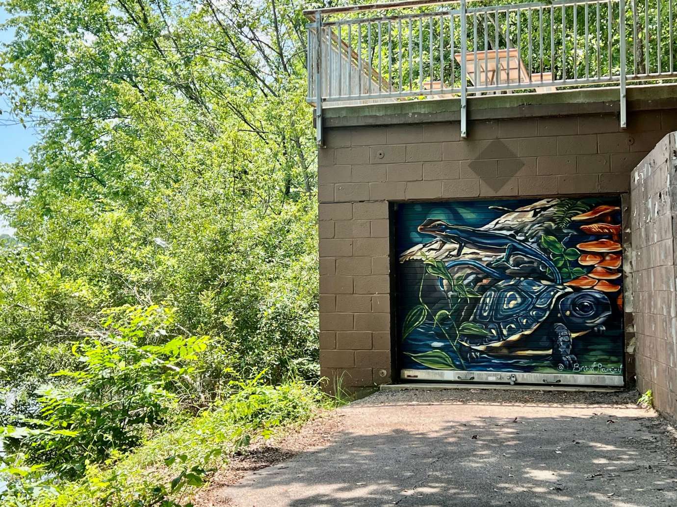 Mural of turtle and anole on a garage door set back in the trees of Shelley Lake Park