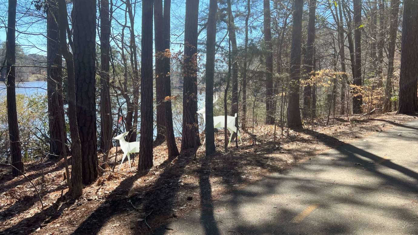 Concept Design for Lake Lynn Loop Trail