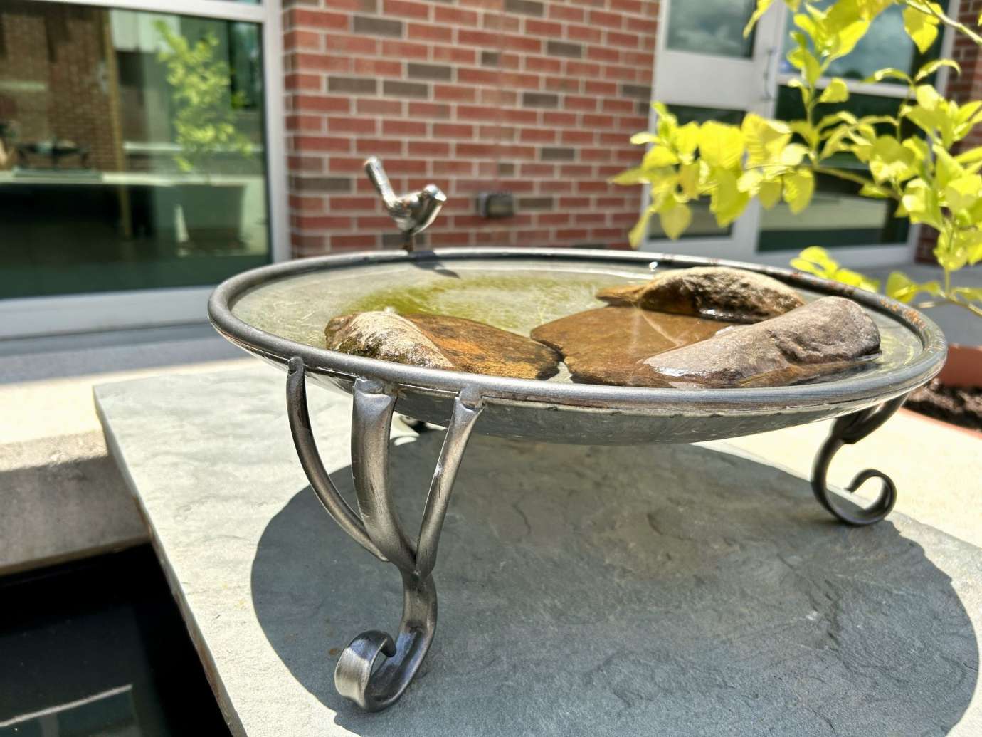 Metal bird bath with fake metal bird perched on the side 