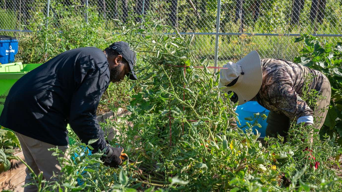 volunteers in a garden