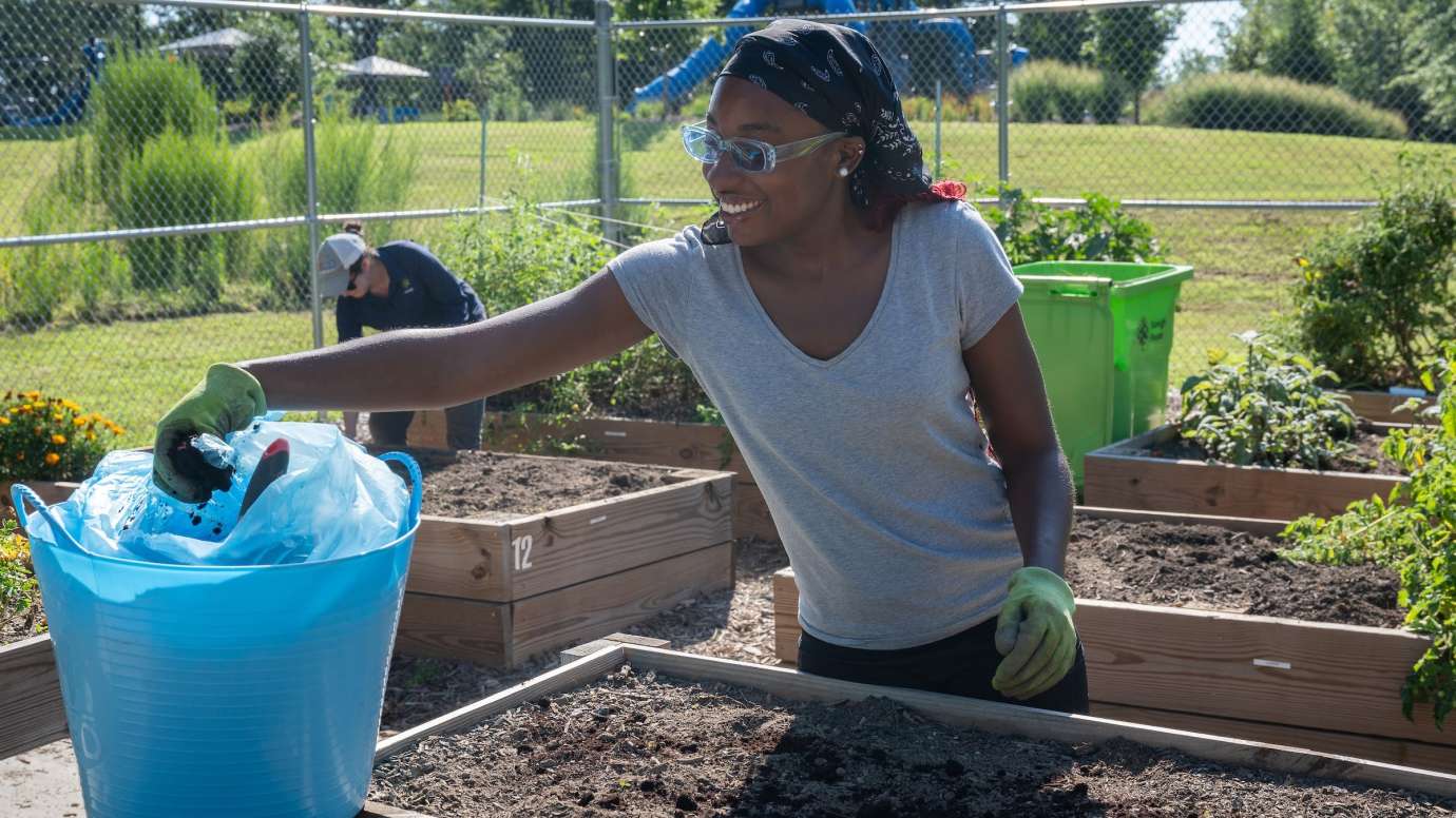 volunteer in a garden