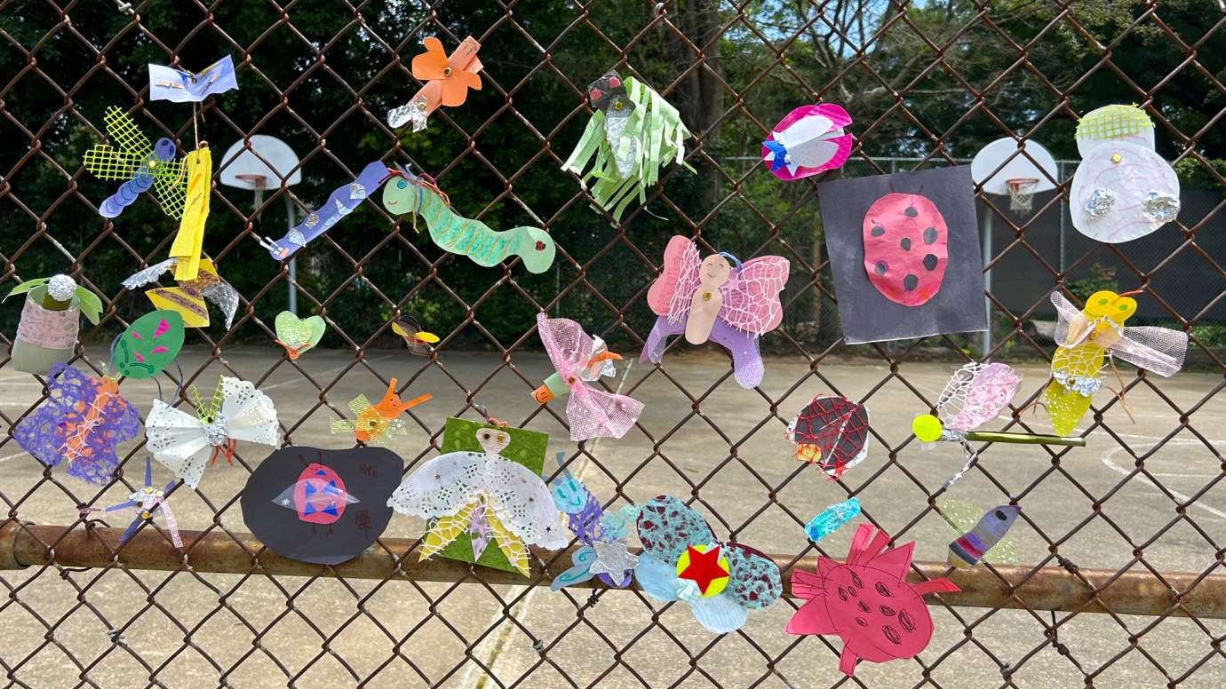 Paper Insects Community Engagement