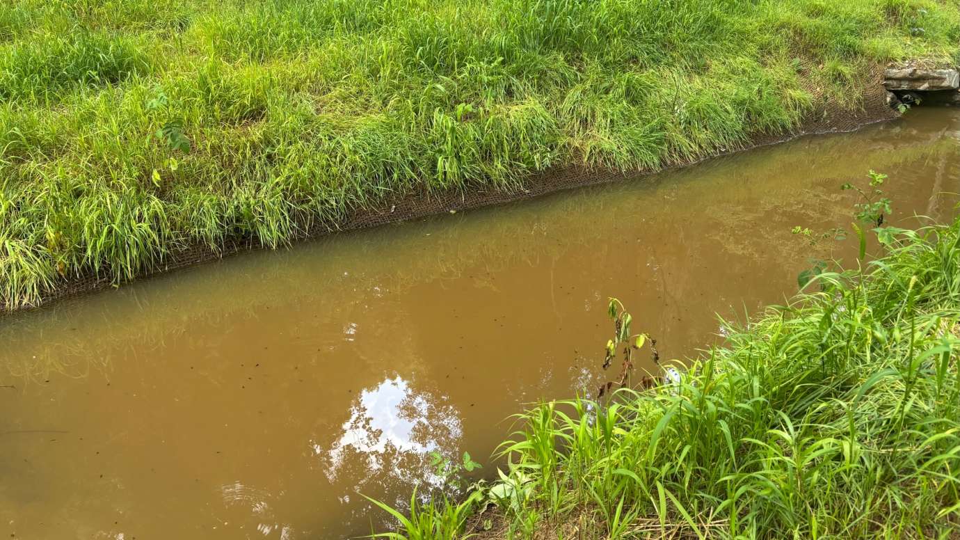 NCMA Stream Restoration Completed