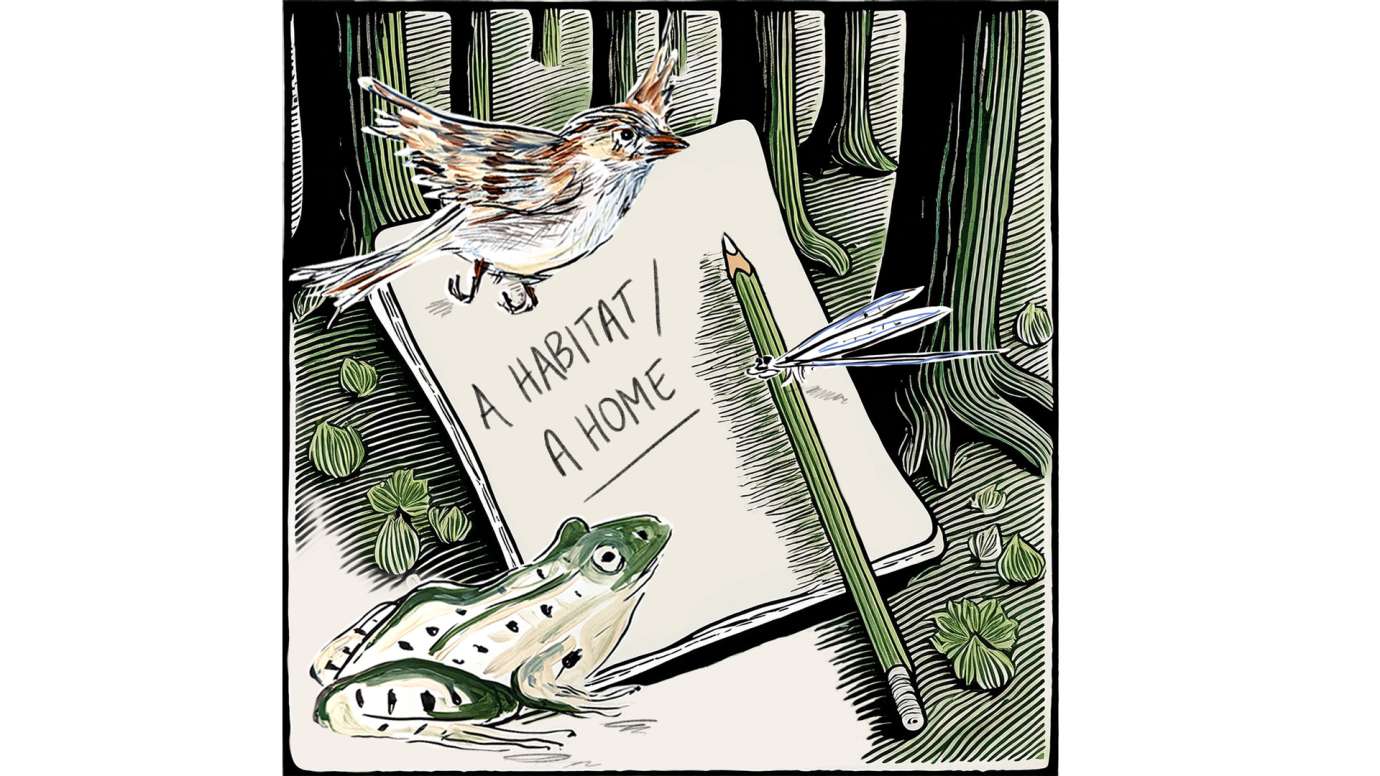 An illustration of a frog and bird are with a notebook that reads "A Habitat, A Home"