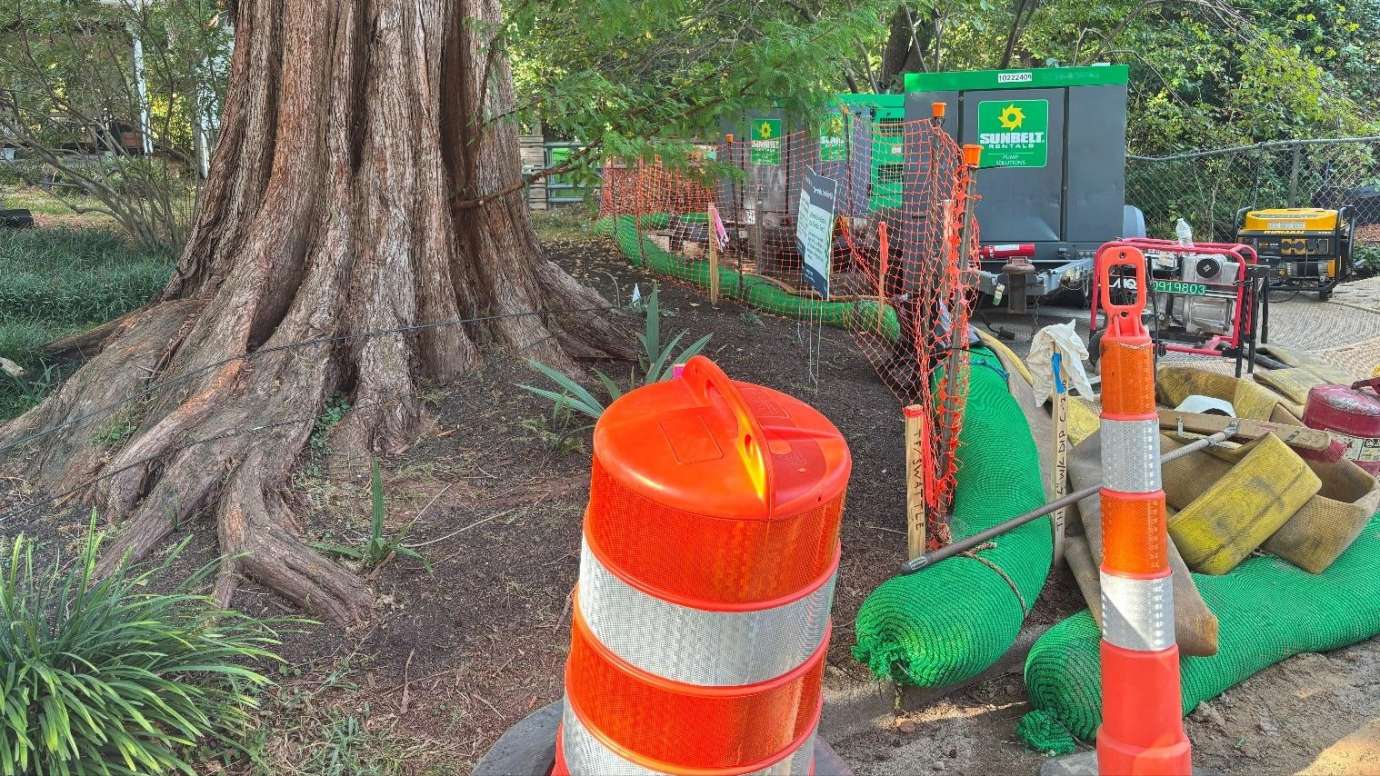 Dunbar Road Construction Tree Safety