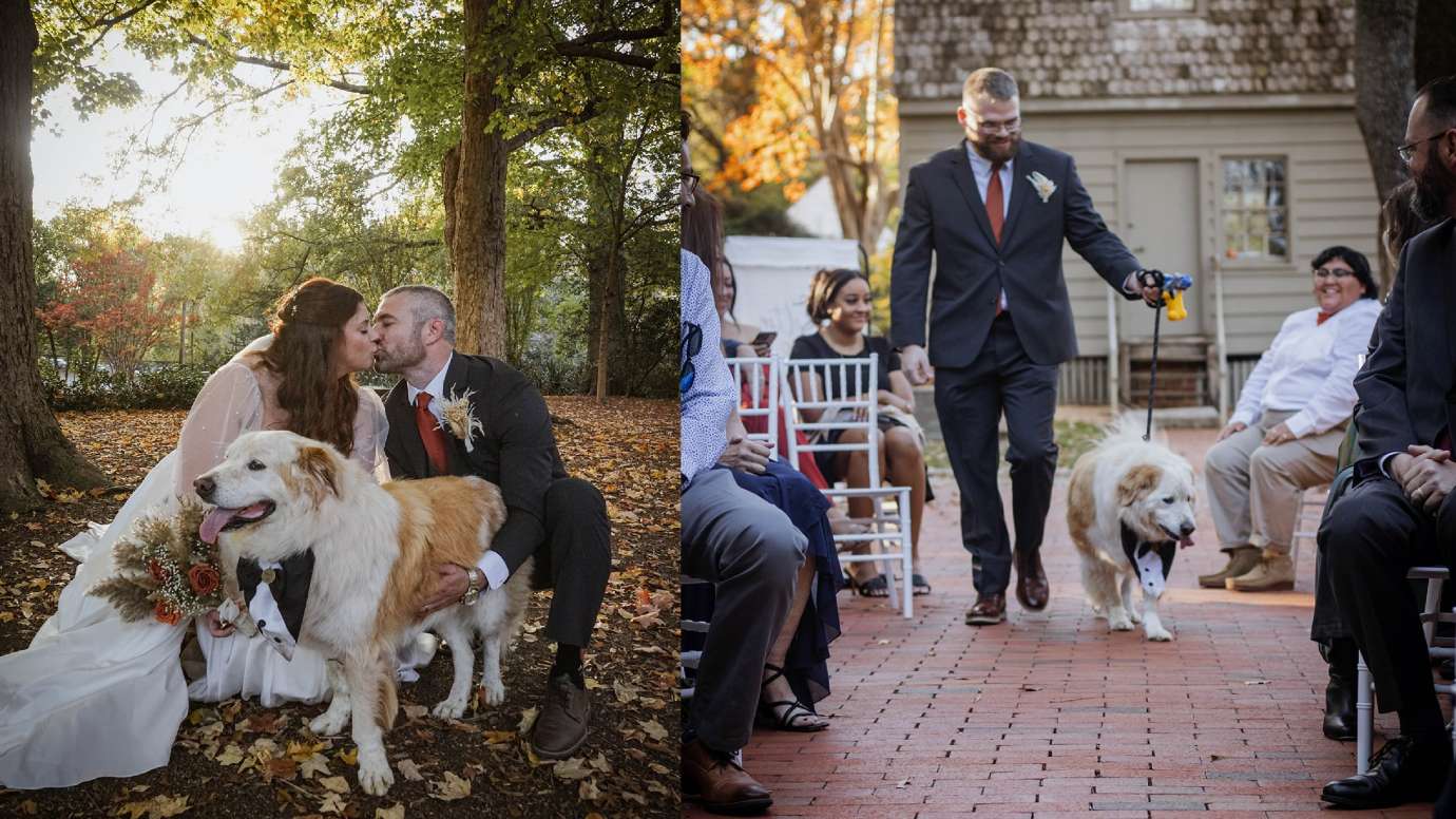 a collage of pics from mordecai wedding with dog