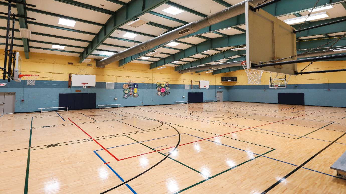 lions park gym