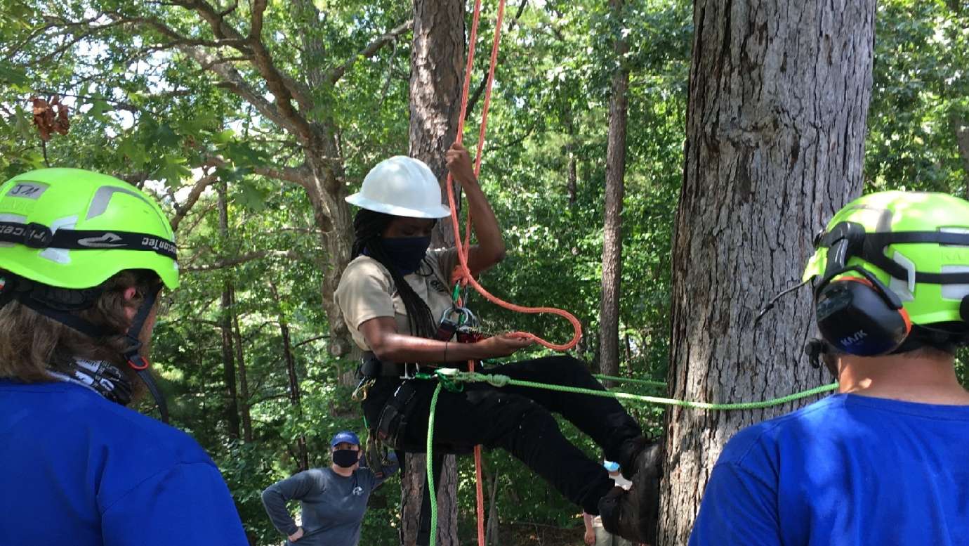 a person climbing down from a tree
