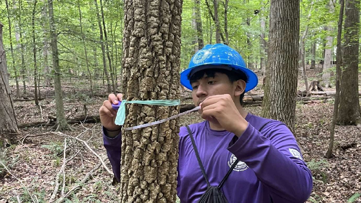 Raleigh Youth Conservation Corps | Raleighnc.gov