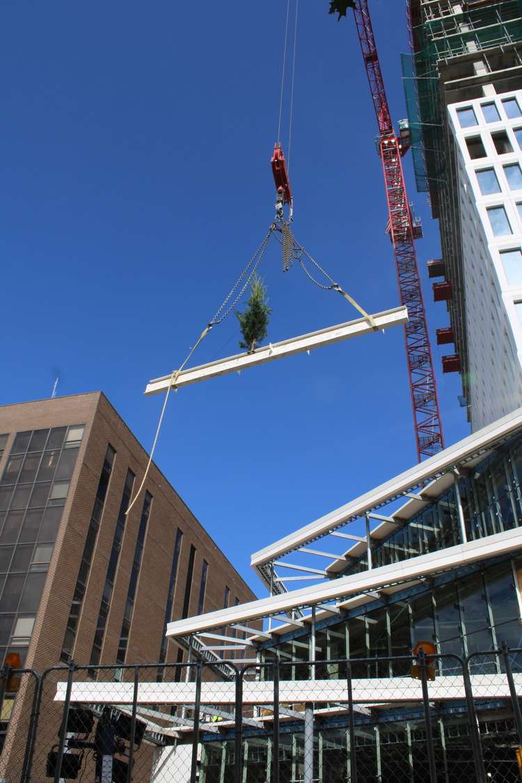 Image of topping out beam rising in the air. 